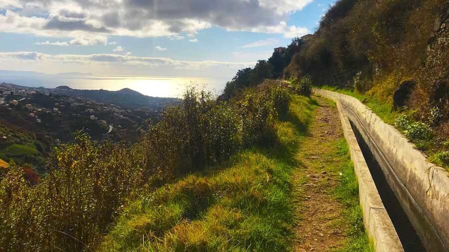 Funchal: Northern Levada Walking Tour - What the walk feels like for different walkers