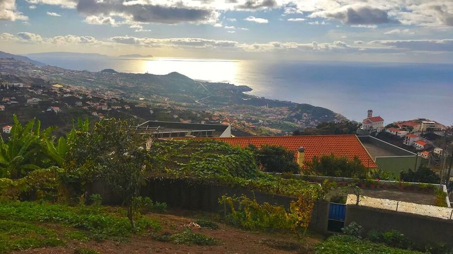 Funchal: Northern Levada Walking Tour - Weather and cancellation planning