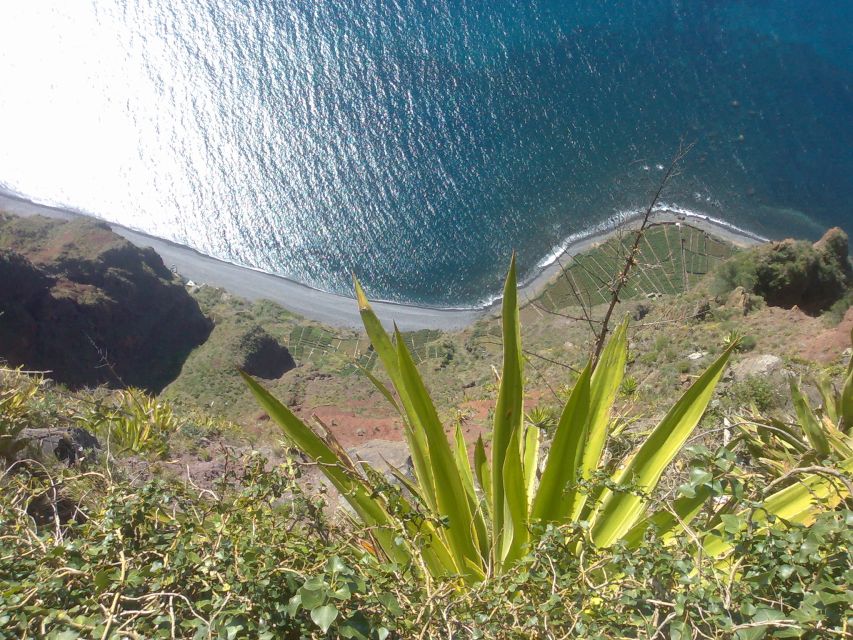 Funchal: Nuns Valley Half Day Tour - Booking tips for a smoother visit