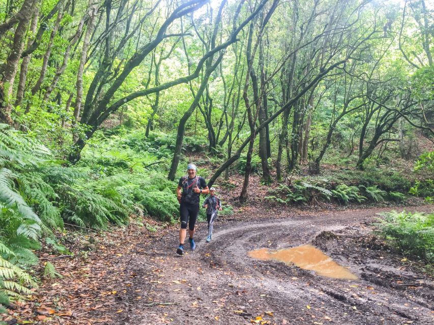 Funchal: Ocean to Mountain Running Tour - Key points at a glance