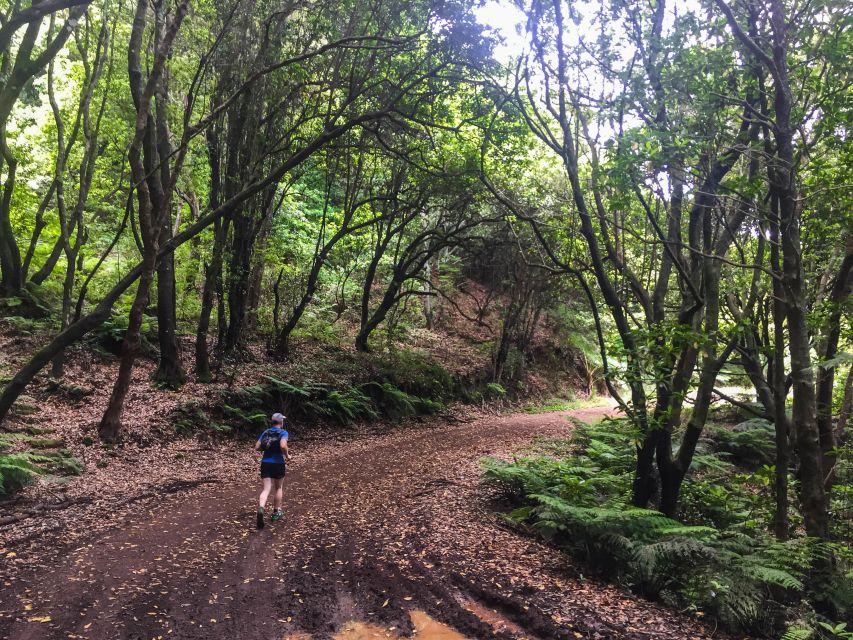 Funchal: Ocean to Mountain Running Tour - What the guide adds to the experience