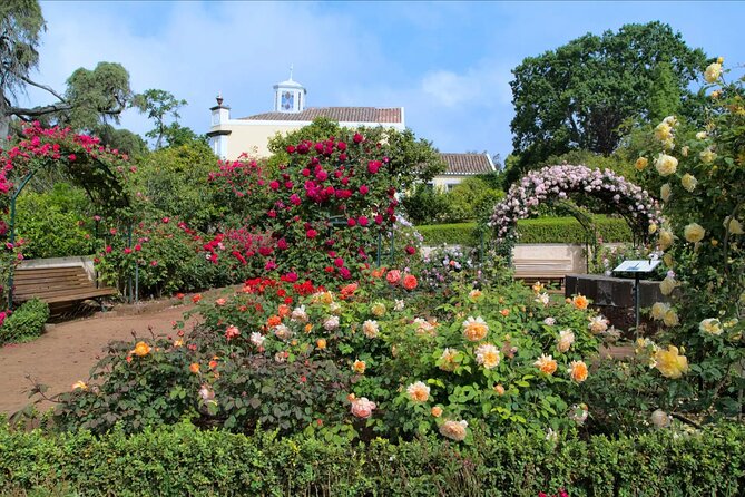 Funchal Old Town & Palheiro Gardens Private Tuk Tuk Tour - Starting among Funchal’s oldest streets