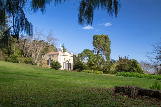 Funchal Old Town & Palheiro Gardens Private Tuk Tuk Tour - Palheiro Gardens: one hour among old trees and exotic plants