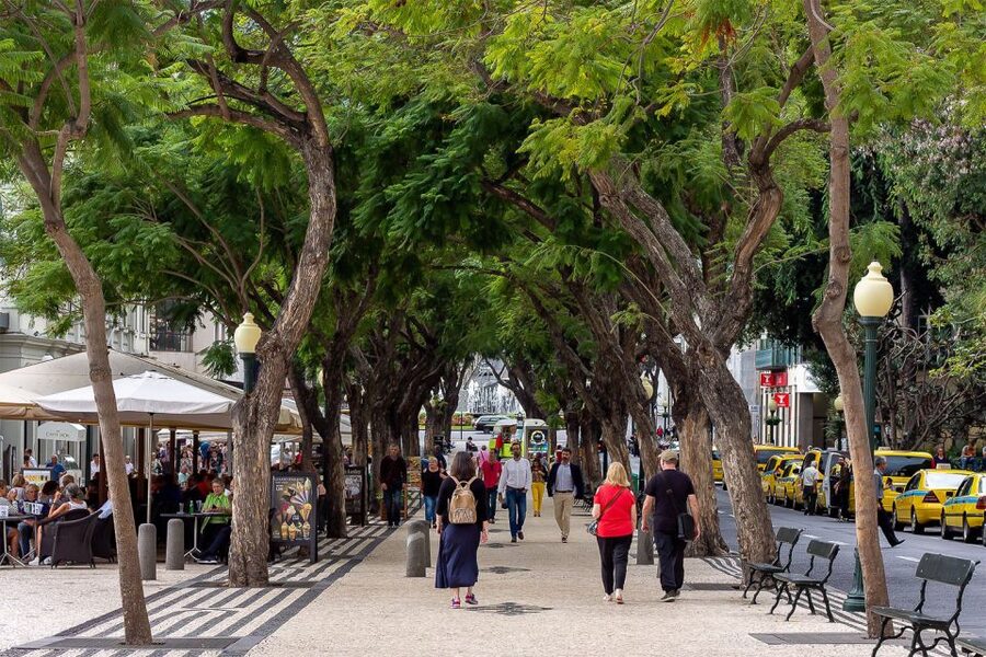 Funchal: Old Town Walking Tour - City Hall and a 19th-century sweet factory