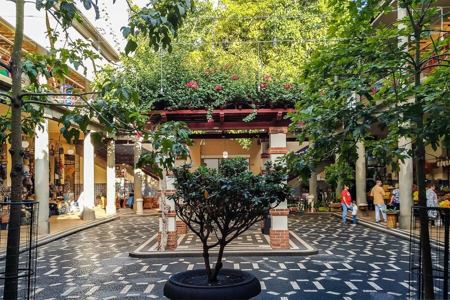 Funchal: Old Town Walking Tour - The Municipal Garden, wine, and the way back