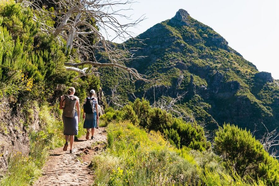 Funchal: Pico do Arieiro Sunrise Transfer Self-guided Hike - Getting your bearings at Pico do Arieiro