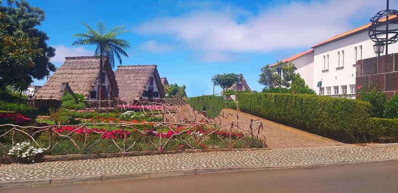 Funchal Private 4-Seater VIP Mercedes / 8-Seater Minibus - West and north for changing scenery