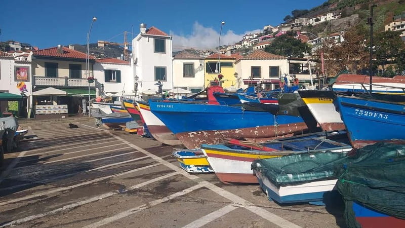 Funchal Private 4-Seater VIP Mercedes / 8-Seater Minibus - What to bring and what to confirm