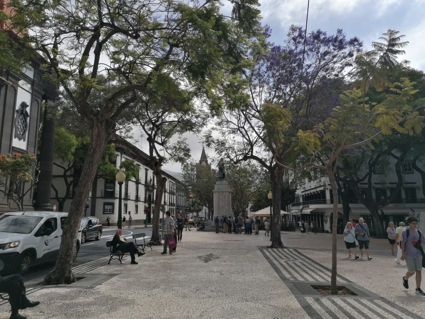 Funchal: Private Guided Tour of Historic Center by Tuk Tuk - Funchal Cathedral and City Hall