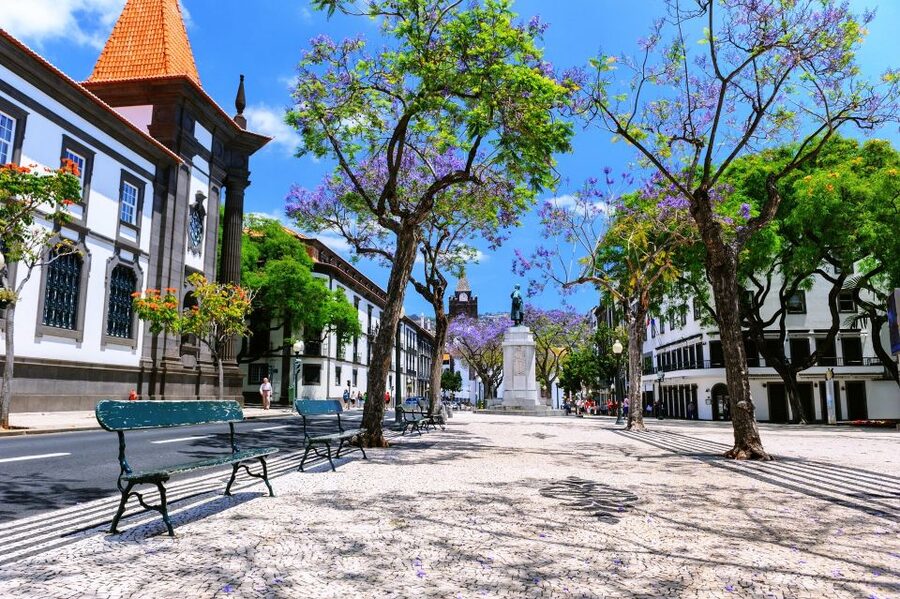 Funchal: Private Guided Tour of Historic Center by Tuk Tuk - What the Private Format Adds