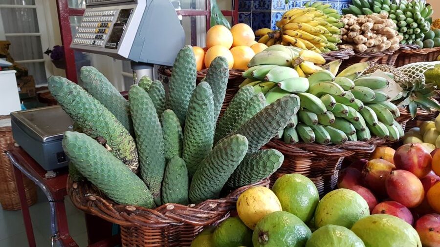 Funchal: Private Guided Walking Tour - Finishing at Catarina City Park