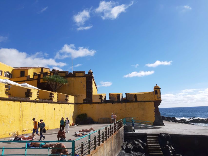 Funchal: Private Guided Walking Tour - What the private format is worth at $176