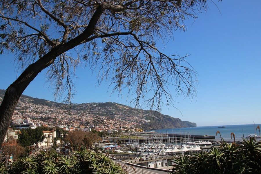 Funchal: Private Tour with a Local Guide - Starting in your own Funchal neighborhood