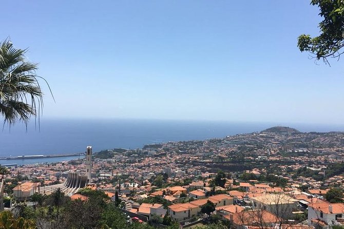 Funchal Private Transfers Service to Madeira Airport - Key points to know before booking
