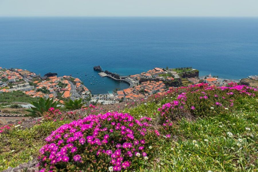 Funchal: Private Tuk-Tuk Tour to Cabo Girão Cliff - Skywalk - Key points to know before booking