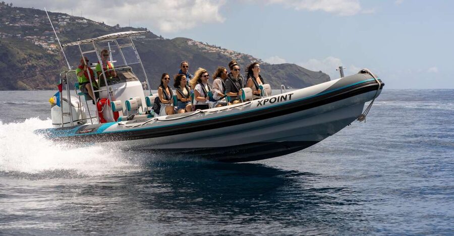 Funchal: RIB Whale Watching Cruise and Optional Dolphin Swim - Leaving Funchal in a small, lively boat
