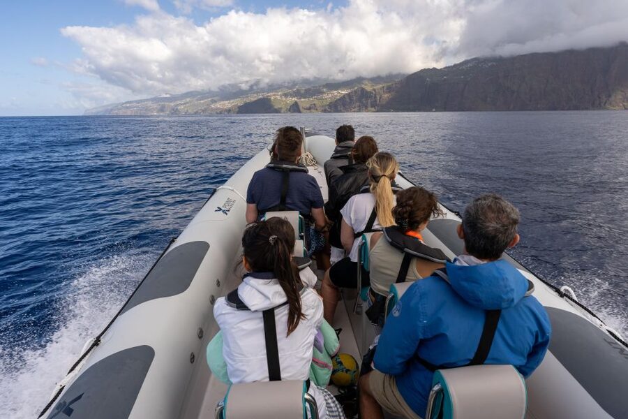 Funchal: RIB Whale Watching Cruise and Optional Dolphin Swim - Who should book this RIB trip?
