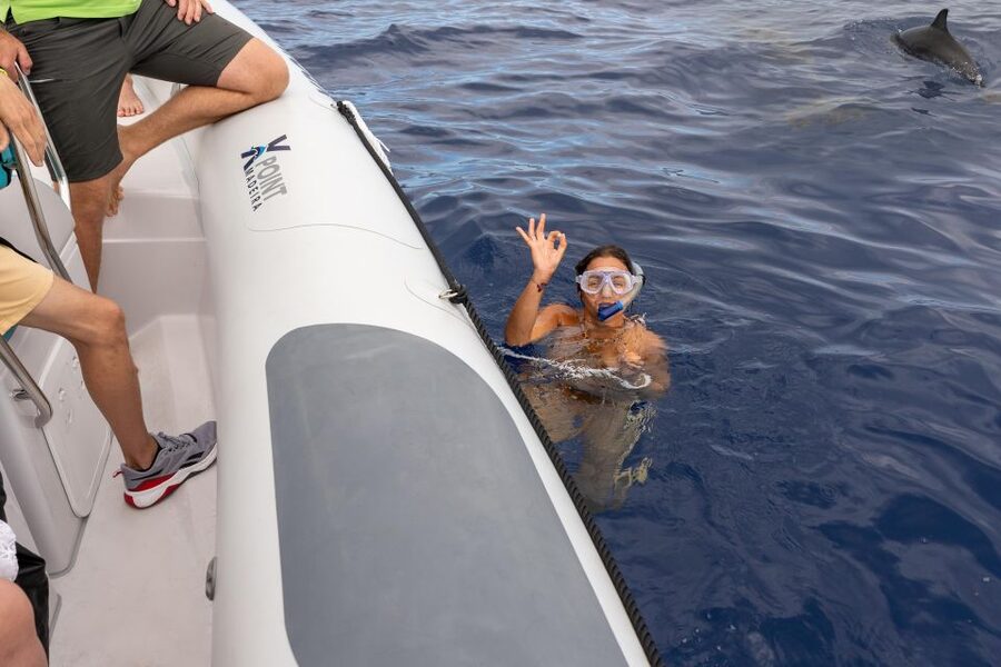 Funchal: RIB Whale Watching Cruise and Optional Dolphin Swim - Searching the water for dolphins and whales