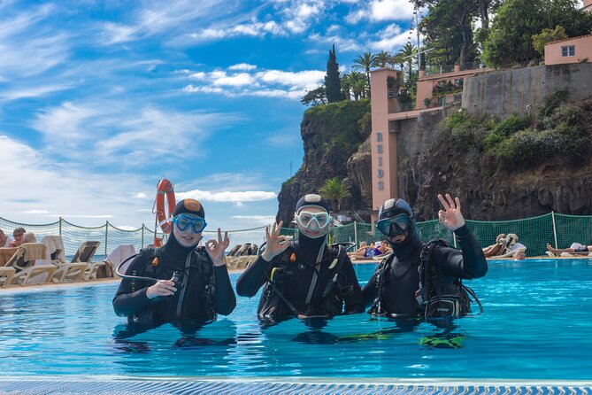 Funchal: Scuba Diving Experience for Beginners - The sea session at Madeira Divepoint’s private reef