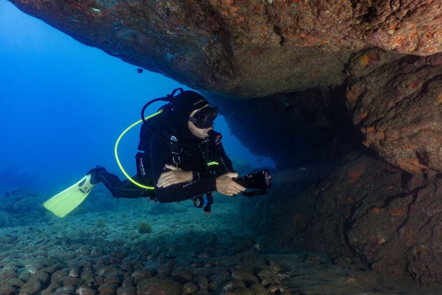 Funchal: Scuba Diving Experience for Beginners - What makes the wildlife viewing worthwhile
