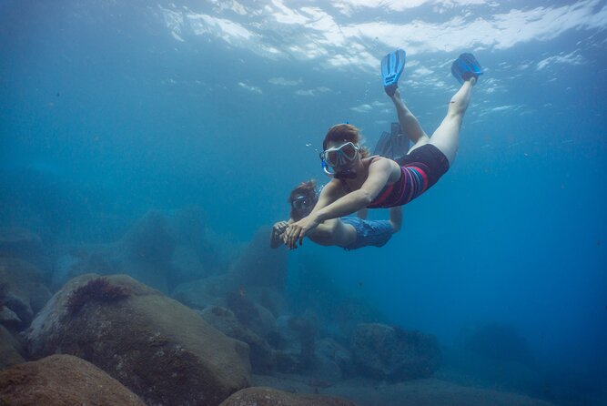 Funchal: Snorkeling Adventure in Eco-Park / Shore or by Boat - Key points to know before you book