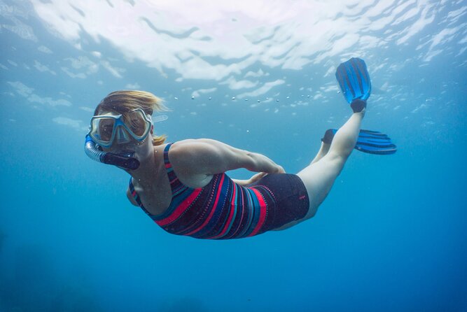Funchal: Snorkeling Adventure in Eco-Park / Shore or by Boat - What the lesson is really worth