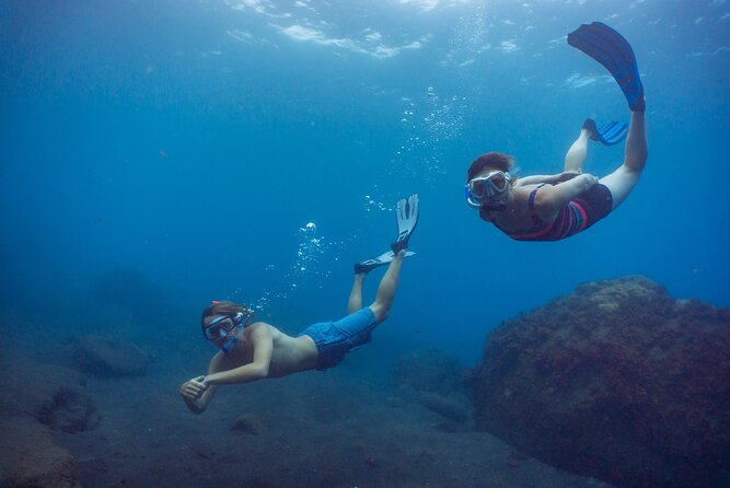 Funchal: Snorkeling Adventure in Eco-Park / Shore or by Boat - Equipment, comfort, and the practical setup