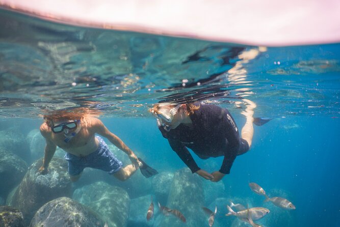 Funchal: Snorkeling Adventure in Eco-Park / Shore or by Boat - Handling sea conditions and schedule changes