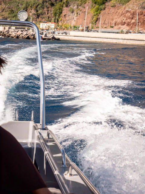 Funchal: Speedboat SEE THE ISLAND AND LIFE AT SEA - Should you book the Funchal speedboat tour?