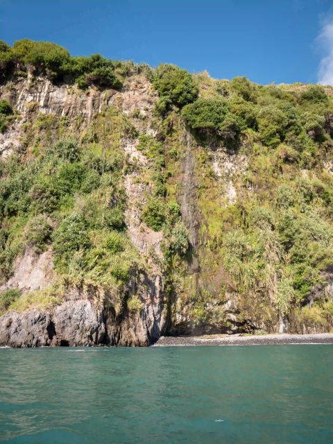 Funchal: Speedboat SEE THE ISLAND AND LIFE AT SEA - Seating, safety, and comfort
