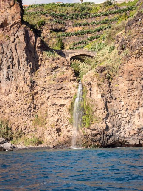 Funchal: Speedboat SEE THE ISLAND AND LIFE AT SEA - Is $41 a fair price?