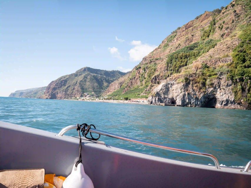 Funchal: Speedboat SEE THE ISLAND AND LIFE AT SEA - Who should book this boat trip