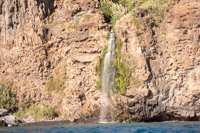 Funchal: Speedboat tour- SEE THE ISLAND AND LIFE AT SEA - Choosing between daytime and sunset departures