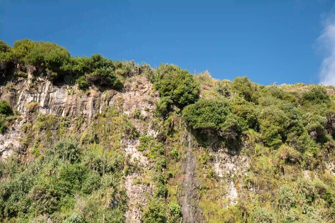 Funchal: Speedboat tour- SEE THE ISLAND AND LIFE AT SEA - Who will enjoy this Funchal boat ride?