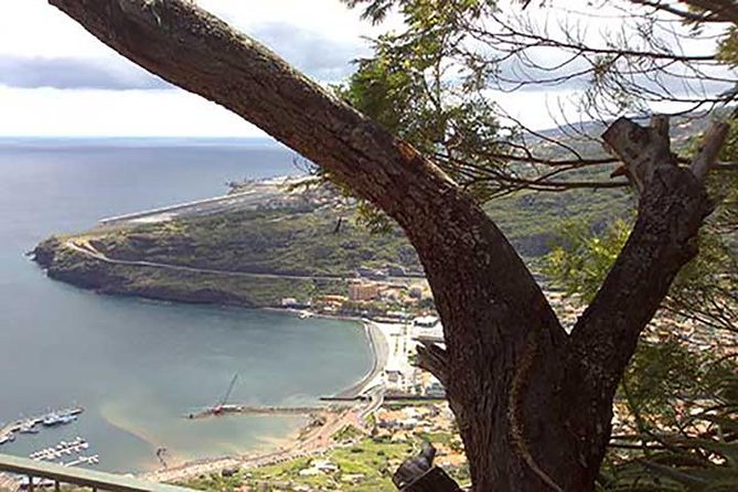 Funchal : Sunday Market - South East Tour - What the guide can add to the morning