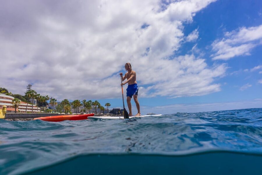 Funchal: SUP Rental or Guided tour with snorkeling - A short paddle from Funchal’s hotel waterfront