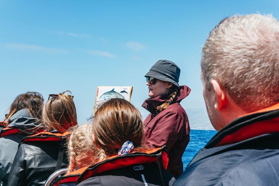 Funchal: Whale and Dolphin Watching Speed Boat Tour - Booking advice and cancellation flexibility