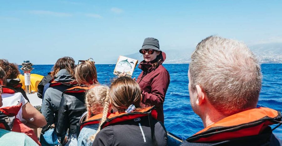Funchal: Whale and Dolphin Watching Speed Boat Tour - Setting off from Pier 8 at Funchal Marina