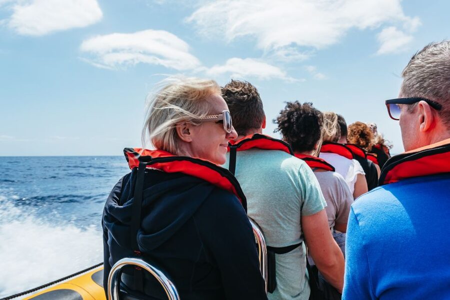 Funchal: Whale and Dolphin Watching Speed Boat Tour - Why the small speedboat changes the experience