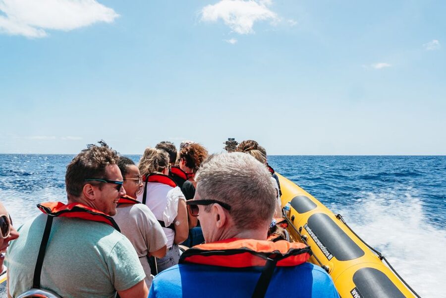 Funchal: Whale and Dolphin Watching Speed Boat Tour - The Madeira coastline adds value even without a rare whale