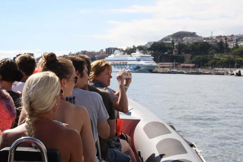 Funchal: Whale Watching and Swimming with Dolphins Cruise - The boat ride is part of the experience