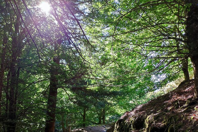 Gastro hike (Private Tour) - Why this private Madeira outing feels different