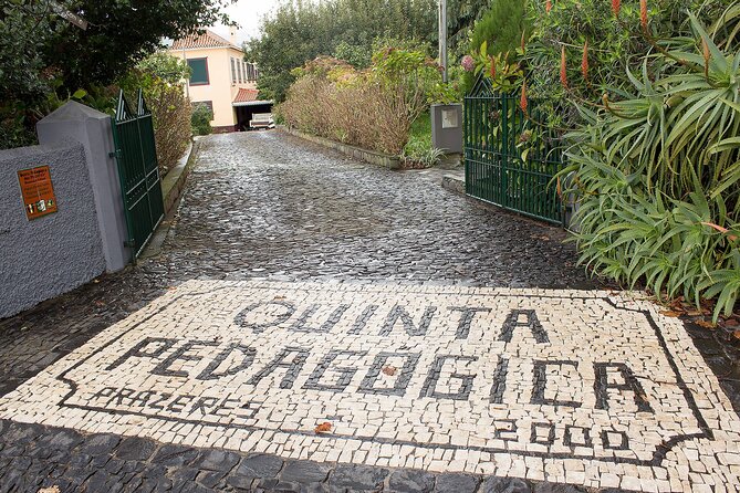 Go South Tour - Madeira Island Excursion - Ponta do Sol brings the first sea views