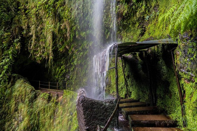 Green Cauldron - Why the Queimadas to Caldeirão Verde route is special