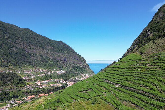 Guided 4x4 Adventure and Skywalk with Wine and Tapas in Madeira - Price, extra charges, and real value