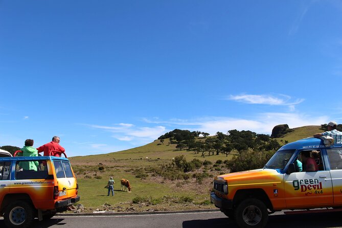 Guided Exploration of Southwest Madeira in a 4x4 - Prazeres: gardens, farms, and a slower village rhythm