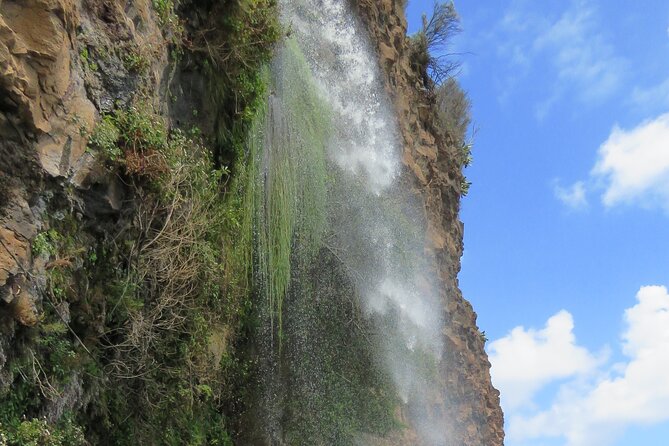 Guided Exploration of Southwest Madeira in a 4x4 - Calheta and Praia da Calheta: sugar, wine, and sand