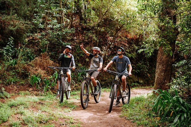 Guided Tour Electric Mountain Bike Experience - Key points for your Madeira bike day