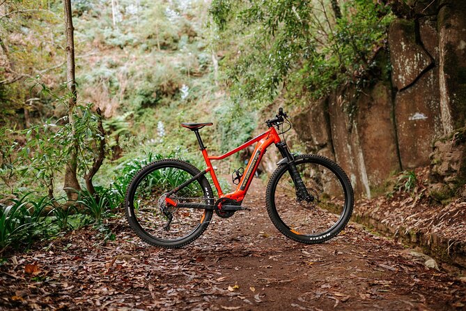 Guided Tour Electric Mountain Bike Experience - Rolling toward Santo da Serra on dirt paths