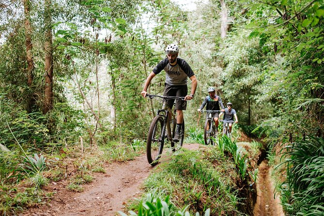 Guided Tour Electric Mountain Bike Experience - Following the Levada da Serra do Faial
